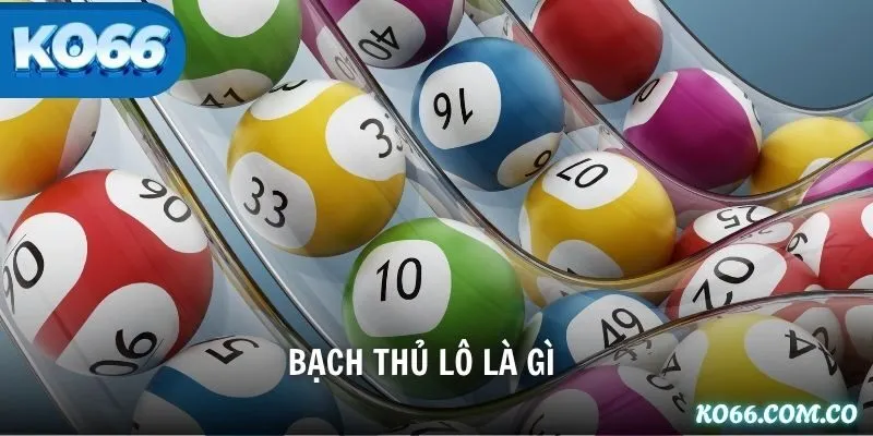 bạch thủ lô là gì