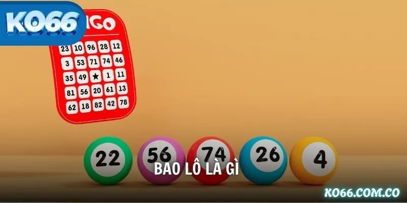 Bao lô là gì