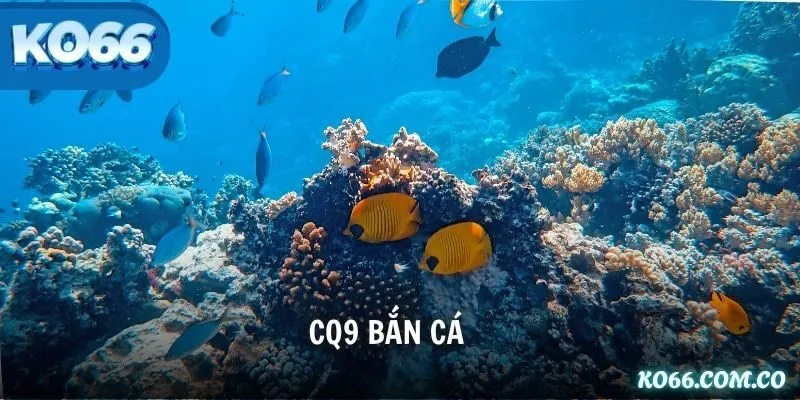 Q9 Bắn Cá